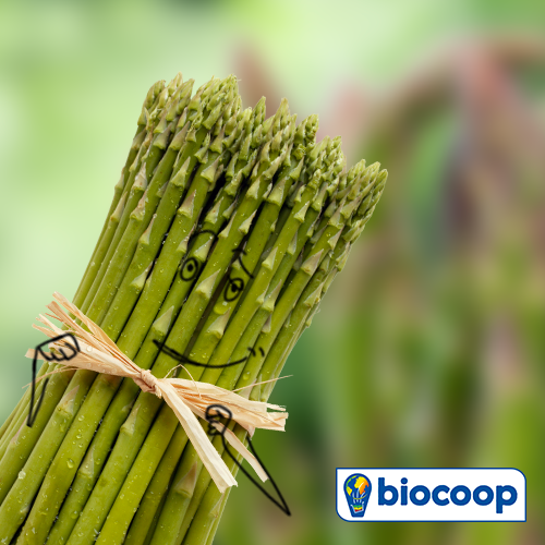 Le légume d'avril : l'asperge Le légume d'avril : l'asperge