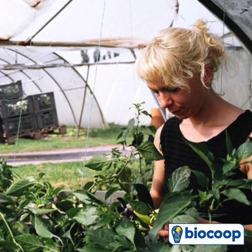 Signature du partenariat entre biocoop et le réseau cocagne en faveur du développement du maraîchage biologique Signature du partenariat entre biocoop et le réseau cocagne en faveur du développement du maraîchage biologique
