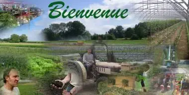 DREUMONT